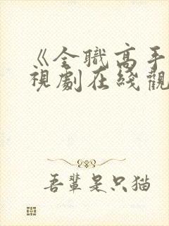 《全职高手》电视剧在线观看