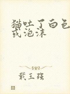 猫吐了白色黏液或泡沫