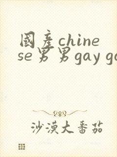 国产chinese男男gay gay网站