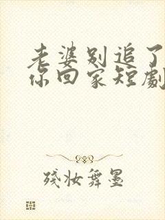 老婆别追了我跟你回家短剧演员表