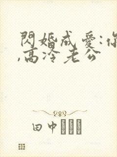 闪婚成爱:你好,高冷老公封面