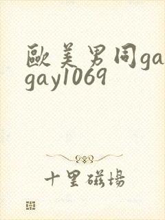 欧美男同gaygay1069封面