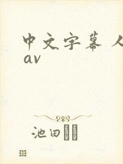 中文字幕 人妻 av