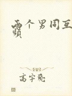 两个男同互操视频