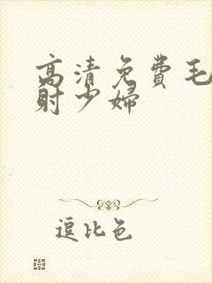 高清免费毛片内射少妇