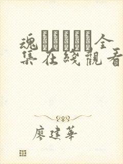 魂インサート全集在线观看