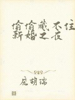 偷偷藏不住番外新婚之夜