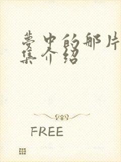 梦中的那片海剧集介绍