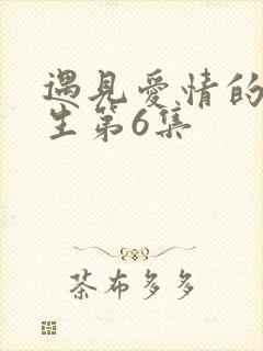 遇见爱情的利先生第6集封面