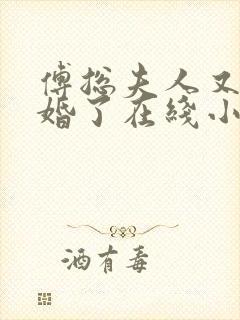 傅总夫人又闹离婚了在线小说