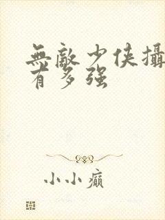 无敌少侠摄政王有多强