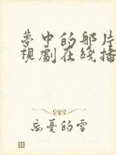 梦中的那片海电视剧在线播放