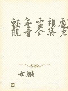 轻年电视剧在线观看全集免费封面