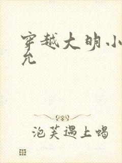 穿越大明小说朱允