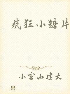 疯狂小糖片头曲