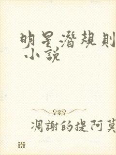 明星潜规则之皇 小说