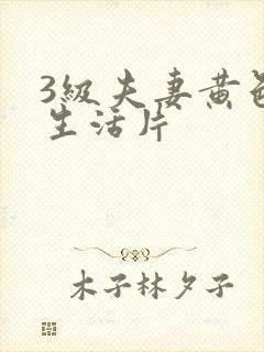 3级夫妻黄色性生活片封面