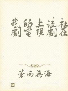 我的上流社会韩剧电视剧在线观看