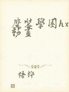 魔装学园hxh动画