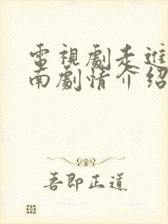 电视剧走进大西南剧情介绍