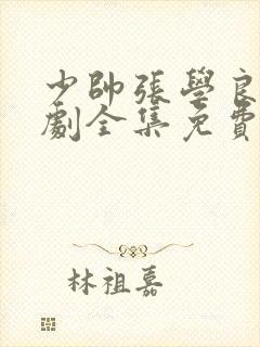 少帅张学良电视剧全集免费观看高清文章