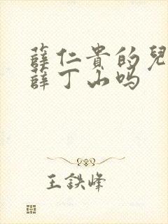 薛仁贵的儿子是薛丁山吗