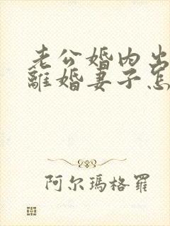 老公婚内出轨要离婚妻子怎样去挽回封面