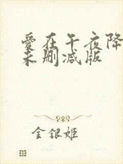 爱在午夜降临前未删减版