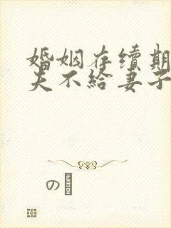 婚姻存续期间丈夫不给妻子生活费