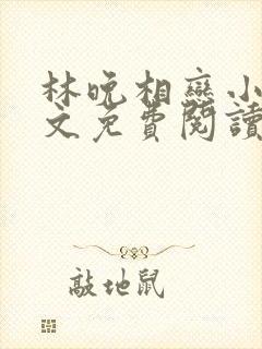 林晚相恋小说全文免费阅读