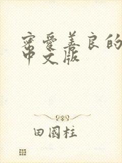 密爱善良的嫂子中文版