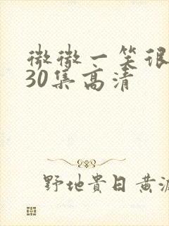 微微一笑很倾城30集高清