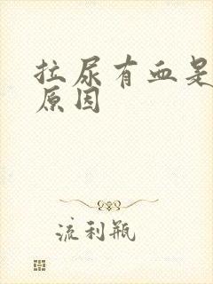 拉尿有血是什么原因