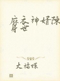 麻衣神婿陈黄皮身世