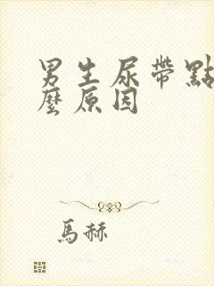 男生尿带点血什么原因