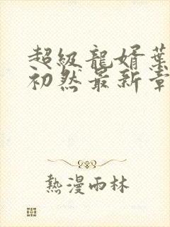 超级龙婿叶辰萧初然最新章节