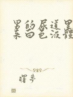 男的尿道里面出来白色液体是什么