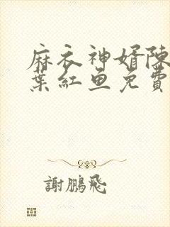 麻衣神婿陈黄皮叶红鱼免费听