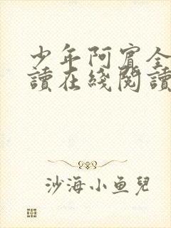 少年阿宾全文阅读在线阅读全文第一季