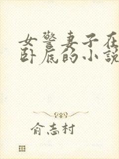 女警妻子在黑帮卧底的小说封面