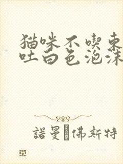 猫咪不吃东西呕吐白色泡沫