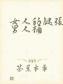 女人的腿张开给男人桶封面