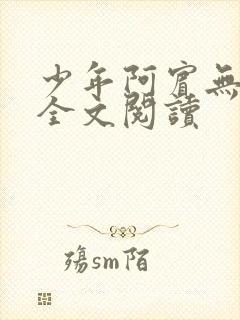 少年阿宾无删减全文阅读封面