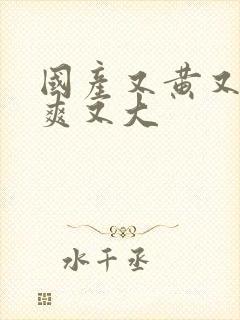 国产又黄又粗又爽又大