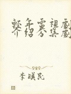 轻年电视剧剧情介绍分集剧情封面