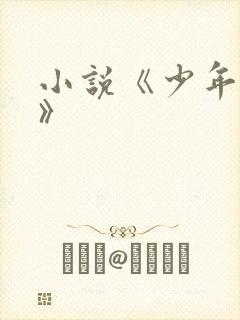 小说《少年阿宾》