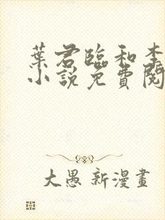 叶君临和李子染小说免费阅读