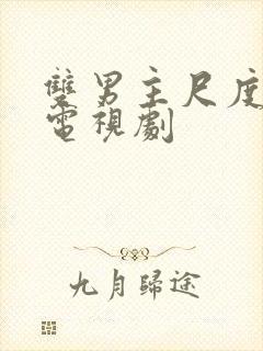 双男主尺度大的电视剧