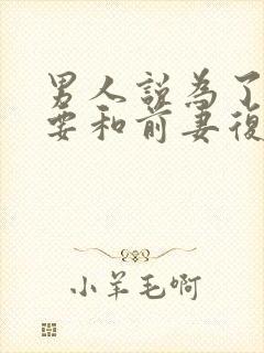 男人说为了孩子要和前妻复婚封面