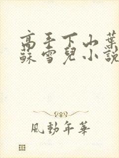 高手下山叶君临苏雪儿小说下载